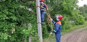 �������� ����� � ��������� ���������� ��������� ������������ ���������������� ������������ �������