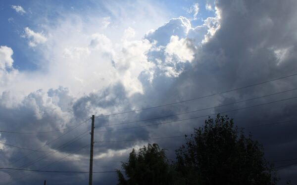 � �������� ��������� ������ ������ ������������������ �������� ����� � ��������� ������������ ��� ������ ���������