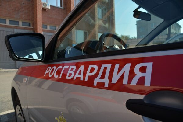 ������������ ��������� ������ ������������ ������� �������������� � ���������� �������� ������ ���������� �����������