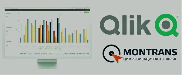 �� �������� �������� ������ OEM-�������� Qlik