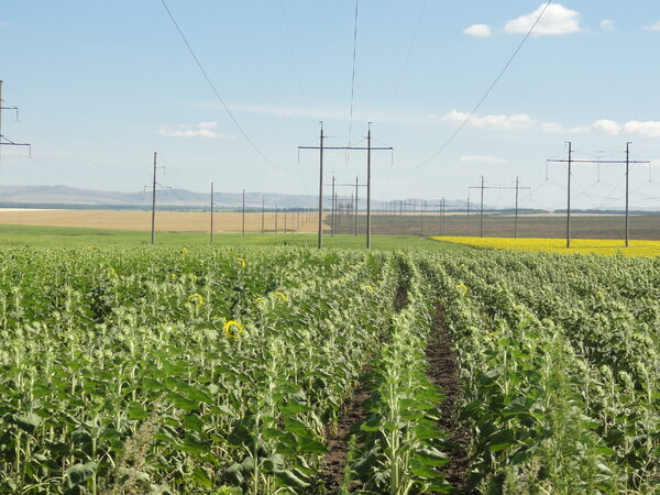 �� �������� ������ ����������� ������� ���������� ����� ������ �� �����