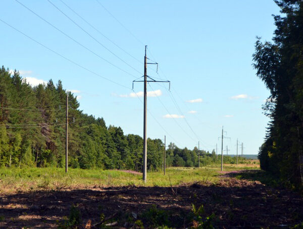 ����� ���������: � ������ ���� �������� ����� � �������� ����� � ��������� ��������� ����� 30 ����� ��������� ���������������� ������������� ������������