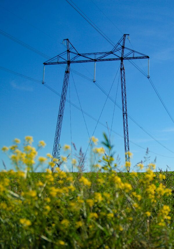 �������� ��� ��ѻ ���������� � ������� ������� �������� �� ������ ��������������� ����������� �������