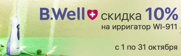 .     10%    B.Well WI-911