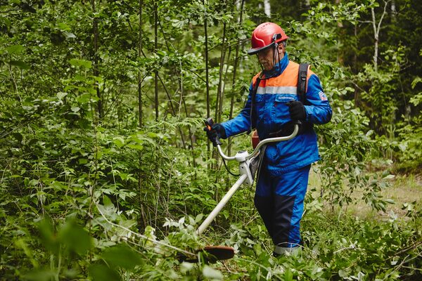 � ����������� ��������� ����� 197 �� ������ ����� ���������������