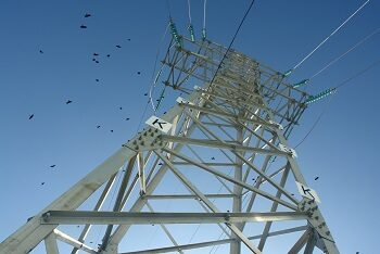 �������� ����� �������� � 5 ��� �������� �������� ������� ��� �������