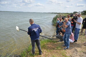 �����-������ ������� ��� ����� �������� VI �������������� �������� ���������-2020�