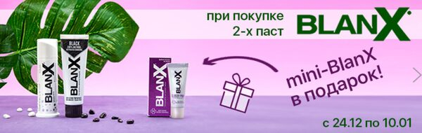 .     mini-BlanX