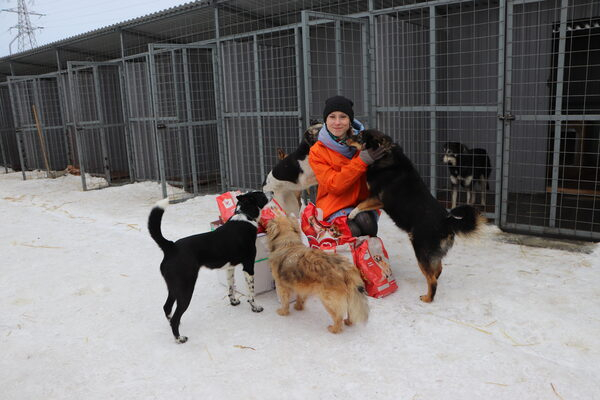 ����������� ���������� ������� ������ ��� ��������� ��������