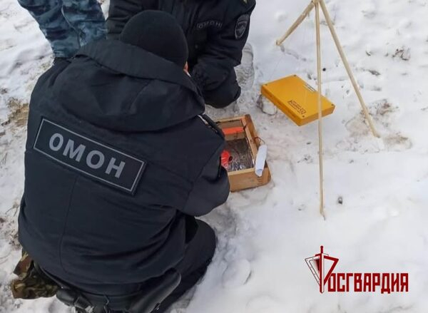 � ������ ����������� ���������� ���������� ���������� �������� � ��������������� ����������� ������� �������������� ������