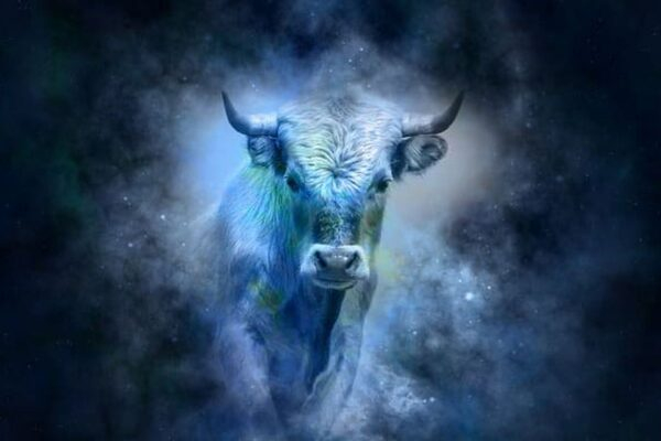 ���������� ������ ����������, ���� ����� ������� �� 2021 ����