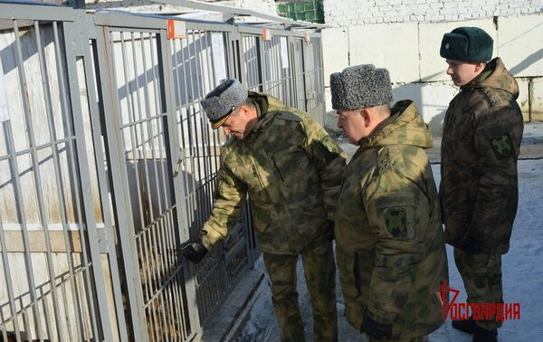 ����������� ��������� ������� ���������� �������� ����������� ������ � �������������� ������ � ������