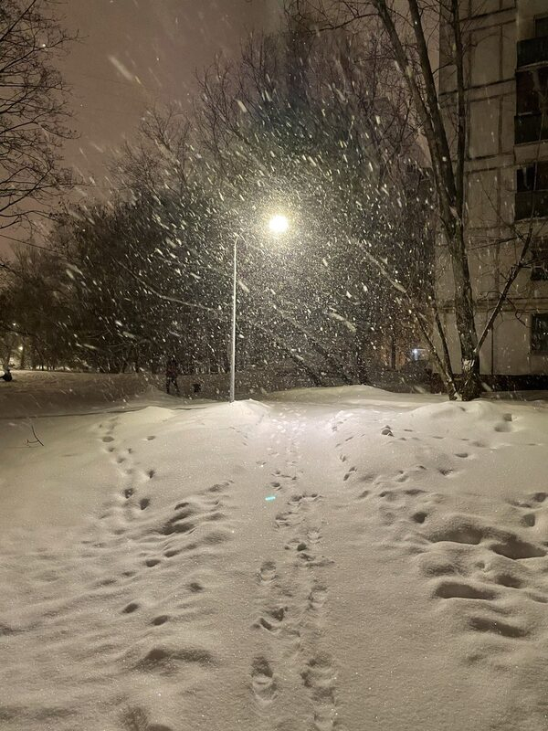 � �������� ��������� �������������� �� ������������� ���� ���������� � 2 ������� �����������