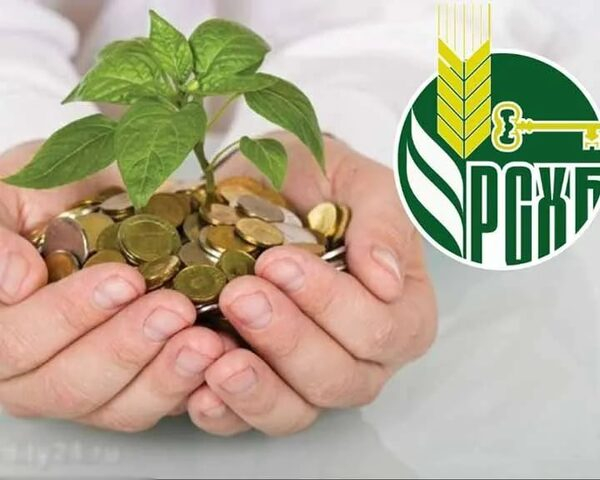 ����� ����, �����������, �����: �� ��� ������� ��������������� ��������� �������� ����� � ������ ����