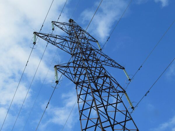 �������� ��� ��ѻ �������� 14 ������������� ���������������  ������-������ �������������� ������������