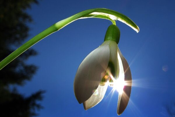 ������� �����������: ��� �������� �������� �������������?