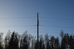 ������ ������: �������� ����� � ��������� ���������� ������������� 1 783 �� ����� ��������������� � 2021 ����