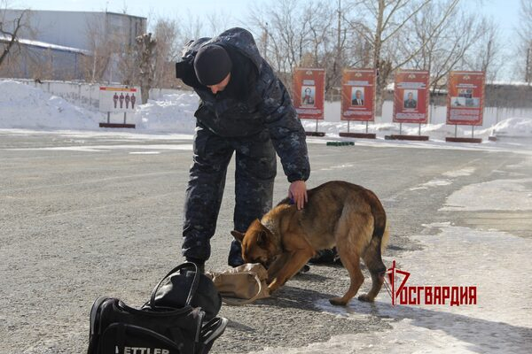 � ������ �������������������� ���������� ���������� � ����������������� ��������