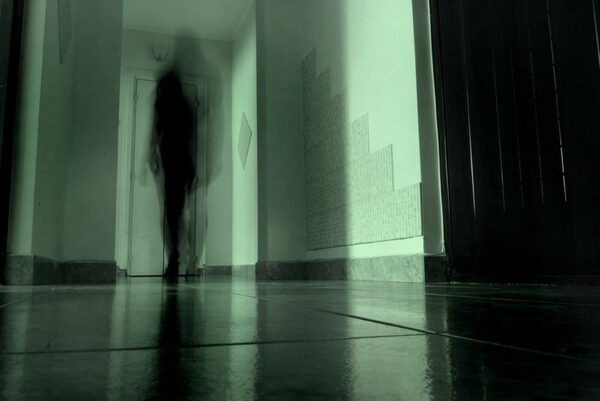 ������� ����������� ����������, ��� ������, ���� � ����� ���� ��������� �������