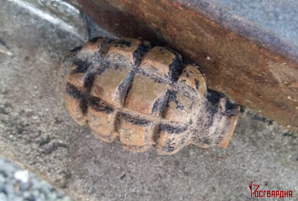 ������������� ���� ���������� ����������� �������������� �������, ������������ � ����� ���� � ������ ������