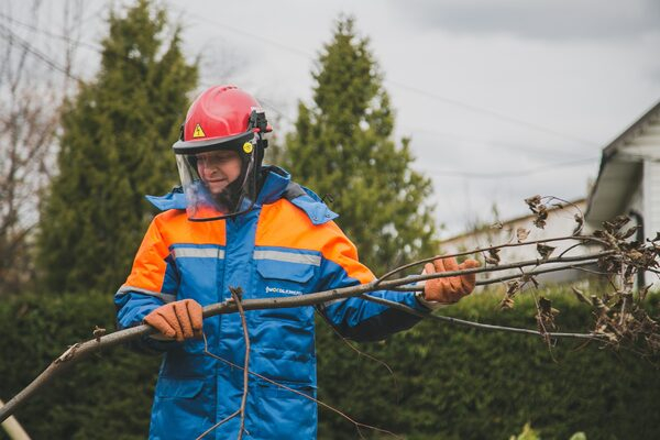 �� ������������� ���������� 27 �� ����� ����� ��� � �����������