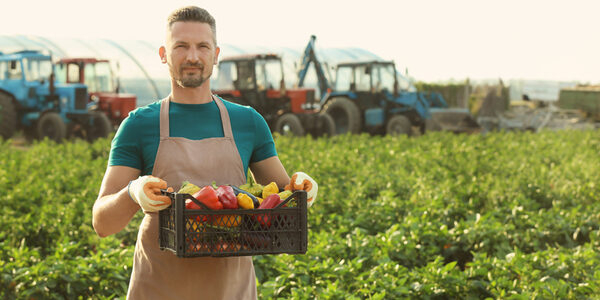 �������������� ������������ ����� ������� �������-����� �������