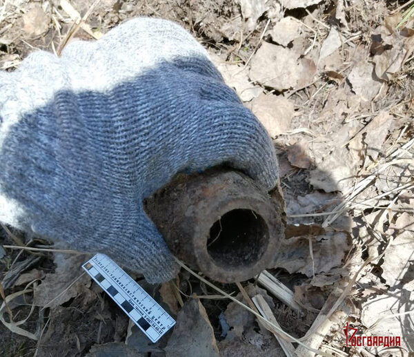 � ������������ ������� ������������� ���� ���������� ����������� �������������� �������