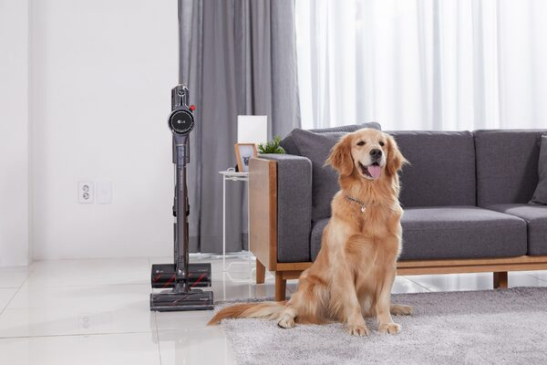      LG CordZero    