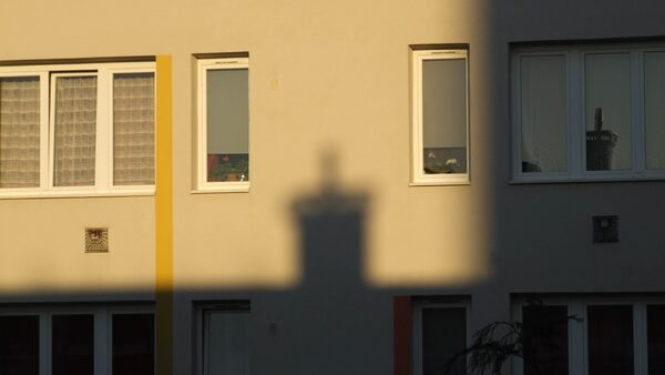   :       5,3% 