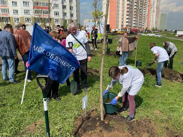 �� ������������� ������������� � �������-�������������� ����� ���� �������