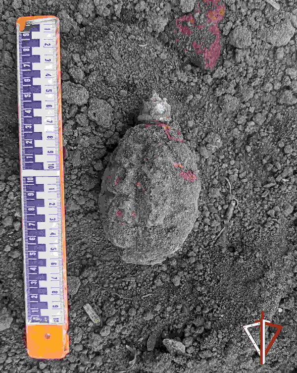 ������������� ���� ���������� ����������� ���������, ������������ ������� ������� �� ����� ������������ �������