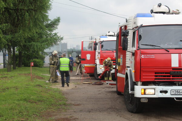 �� ������������� ������� ����������� ������ �� �������������� � ���������� ������������ ��������