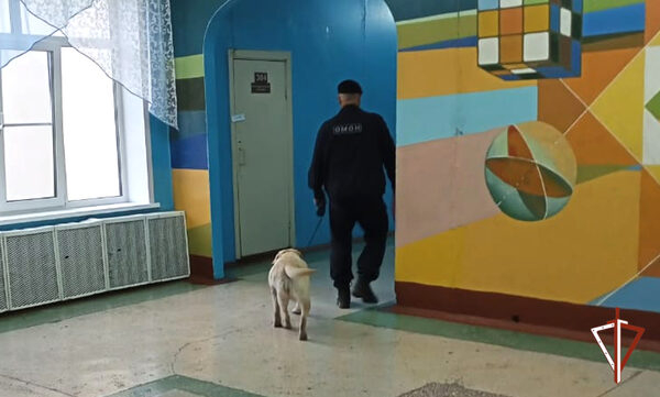 � �������� ���������� ���������� ��������� � ����������� ������������ � ������ ����� ���