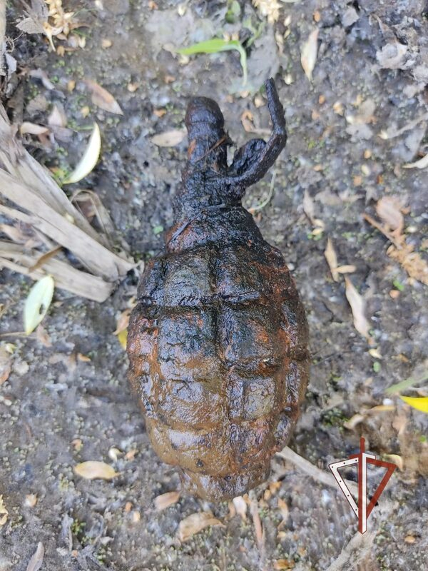 ������������� ���� ���������� ���������, ������������ �������� �������� �� ������ ���� ����� � ������������ �������