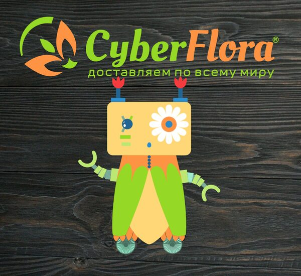    Cyber Flora   -