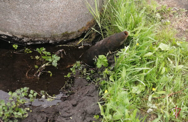 ������������� ������������� ���� ���������� ����������� �������������� ������