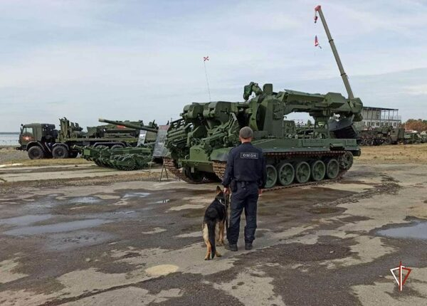 ���������� ���������� ���������� ���������� ���������� ������������ �������� ����������� � ������ � ���������