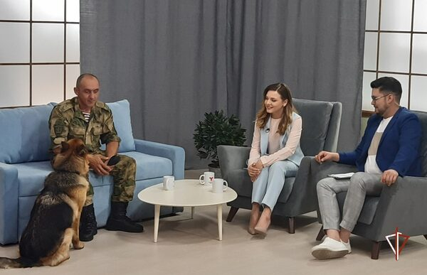 ����������-������� ���������� ������ ������� � ��������� ���������� �����������