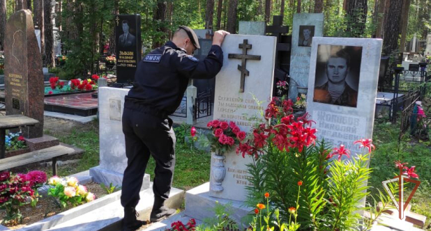 ���������� ����������������� ���� ���������� ������� ������ ��������� ��������