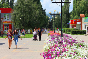 79,3% ������� ������� ������� ������� ������� ������� ������� ������������� �������