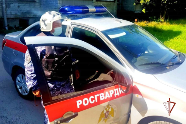 � ������ �� ����� ������������ ���������� ������������ ����� 500 ������� �� ������� ��������