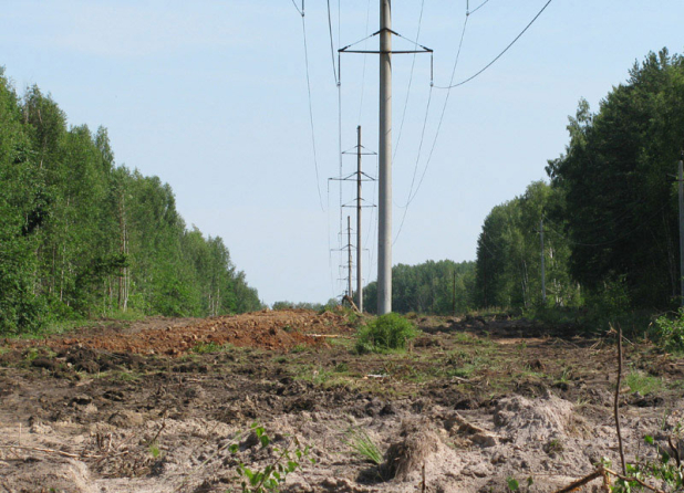 �� ������������� ���������� � ����������� 124,4 �� ������ ����� ���������������