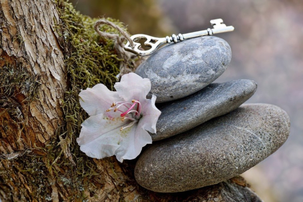 ������� �����������: �������� �������� � ������� ������