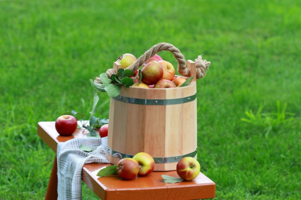 ������� �����������: �������, �������� � ������� �� �������� ���� 19 �������