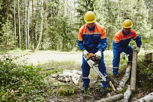 �� ������������� ��������� ��������� ����� ����� ��� � ������ ����������� �� ��������� ���������