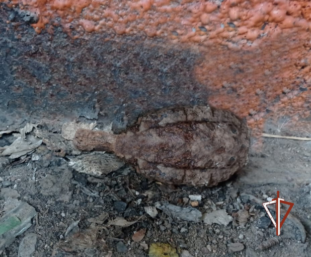 ������������� ���� ����������� � ���������� ���������, ������������ � ������������ �������