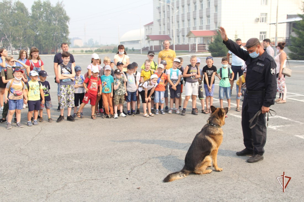 � ������ ����� ��������� � ����������� ���� ��������� ���������� �������� ���� ����