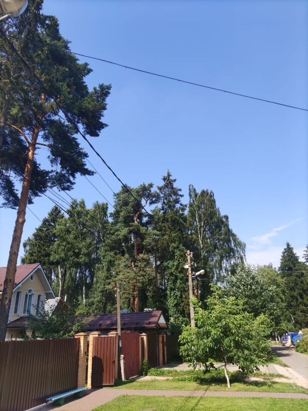 �� ������������� �������� 849 ���� � 52 �� �������� ��� � ������ ����������� �� ��������� ���������� ���������������� ������������ �����������