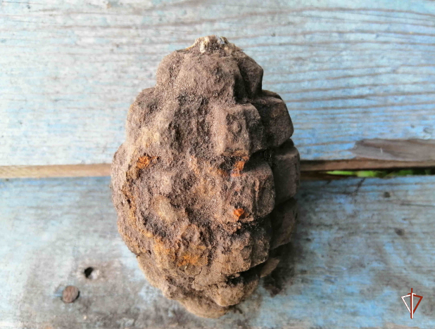 ������������� ���� ���������� ����������� ���������, ��������� ������� �������� �� ��������� �������