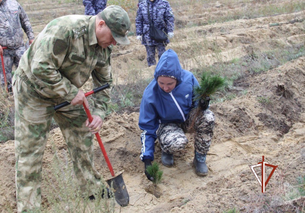 � ��������� ������ ������������� ���������� ������� ������� �� ������������� ������������� ����� �������� ���